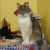 Отзыв от Ираида Грачева